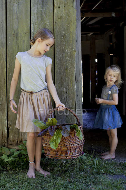 Girl carrying basket of vegetables — Stock Photo