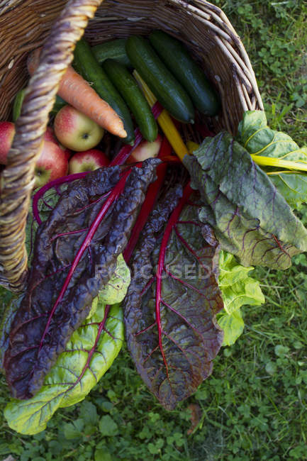 Panier de fruits et légumes — Photo de stock