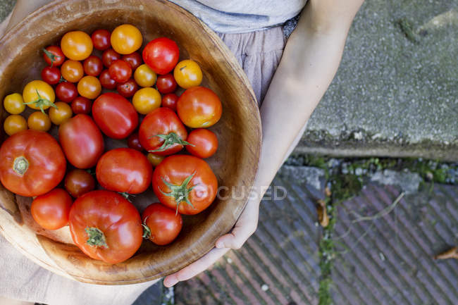 Criança segurando tigela de tomates — Fotografia de Stock