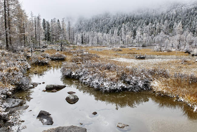 Winterlandschaft am Hulu-Hai-See, baumelnd, Sichuan, China — Stockfoto