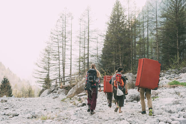 Vista trasera de amigos adultos caminando cerca del bosque con alfombras de bouldering mochila, Lombardía, Italia - foto de stock