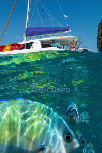 Underwater image of fish by yacht, Koh Phi Phi Leh, Krabi, Thailand, Asia — Stock Photo