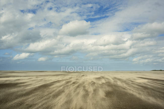 Praia na maré baixa, Gravelines, Nord-Pas-de-Calais, França — Fotografia de Stock