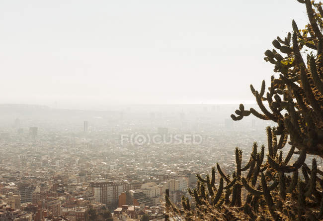 Blick auf Stadt und Kakteenpflanzen im Vordergrund, Barcelona, Katalonien, Spanien — Stockfoto