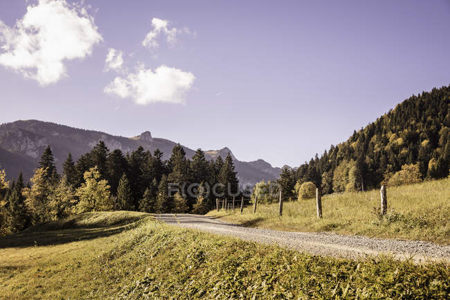 Paesaggio con sterrato e bosco, Baviera, Germania — Foto stock