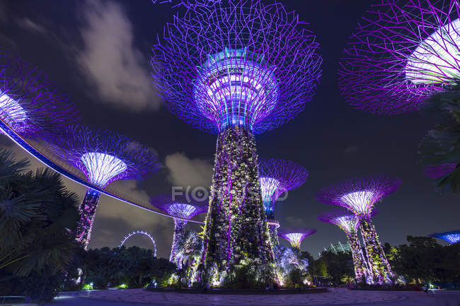 Purpurfarbener Superbaumhain bei Nacht, Singapore, Südostasien — Stockfoto