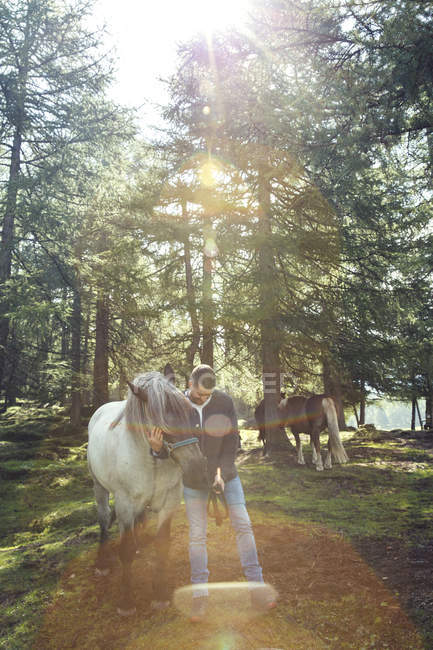 Hombre con caballos en el bosque, Tirol, Steiermark, Austria, Europa - foto de stock