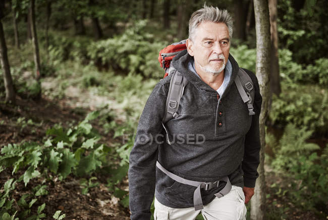 Homme âgé avec sac à dos randonnée à travers la forêt — Photo de stock