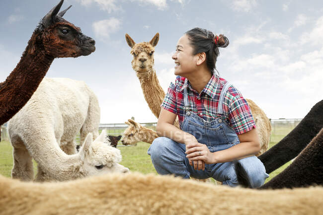 Woman sitting with alpacas, face to face, smiling — Stock Photo