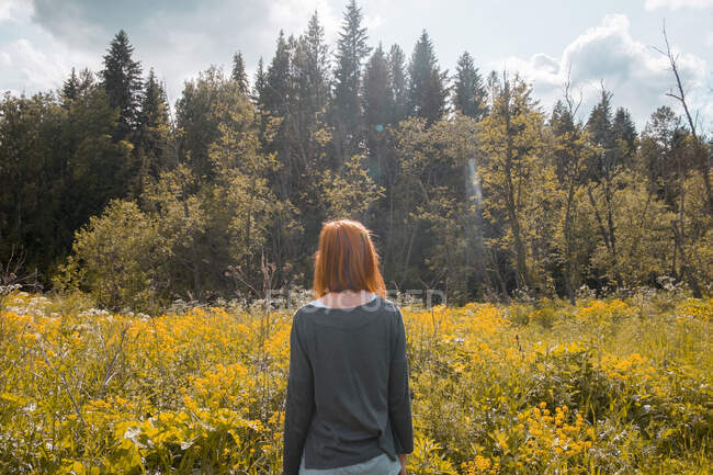 Mujer de pie en el campo, mirando a la vista, vista trasera, Ural, Chelyabinsk, Rusia, Europa - foto de stock
