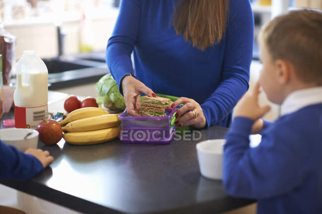 Обрізаний вид матері, що упаковує шкільну дитячу обідню коробку на кухні — стокове фото