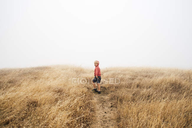Boy in foggy field landscape, Fairfax, California, USA, North America — Stock Photo