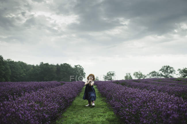 Маленькая девочка, стоящая между рядами лаванды — стоковое фото