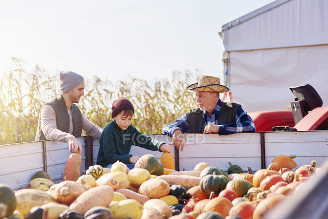 Farmers and boy at pumpkin farm — Stock Photo