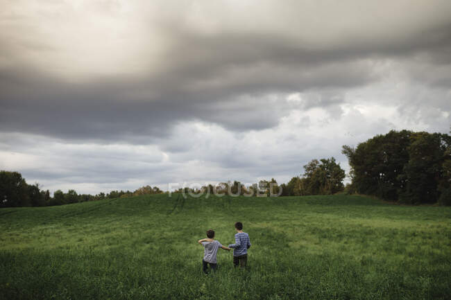 Brüder gehen auf grünem Rasen — Stockfoto