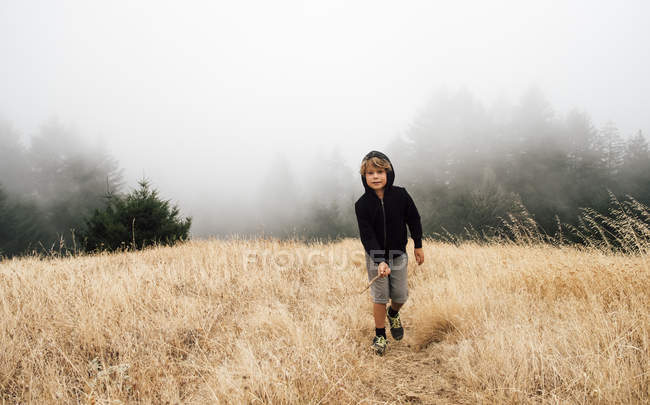 Мальчик в туманном поле, Фэрфакс, Калифорния, США, Северная Америка — стоковое фото