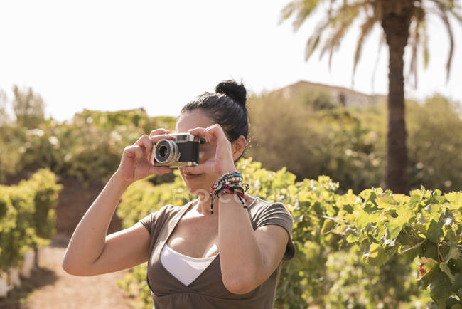 Зрілі жінки винороб лавірувати фото у винограднику, Лас-Пальмас, Гран-Канарія, Іспанія — стокове фото
