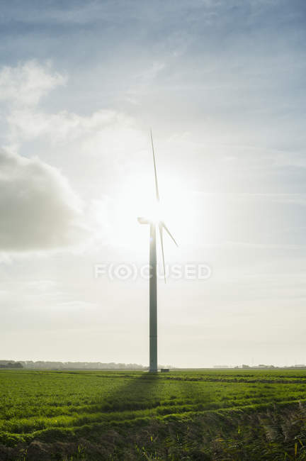 Turbine eoliche la mattina presto, Rilland, Zelanda, Paesi Bassi, Europa — Foto stock