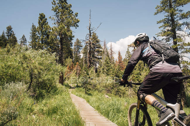 Людина, що Велоспорт на шлях через ліс, Mammoth Lakes, Каліфорнія, США, Північної Америки — стокове фото