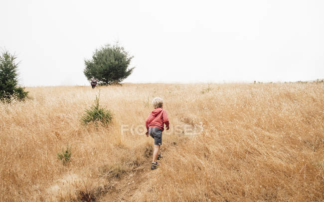 Boy in foggy field landscape, Fairfax, California, USA, North America — Stock Photo