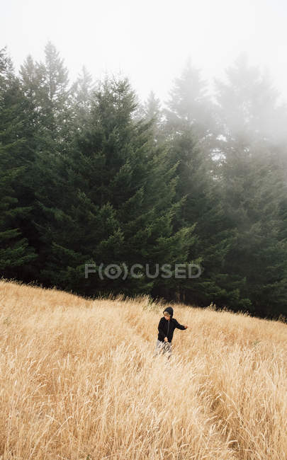 Boy in foggy field landscape, Fairfax, Califórnia, EUA, América do Norte — Fotografia de Stock