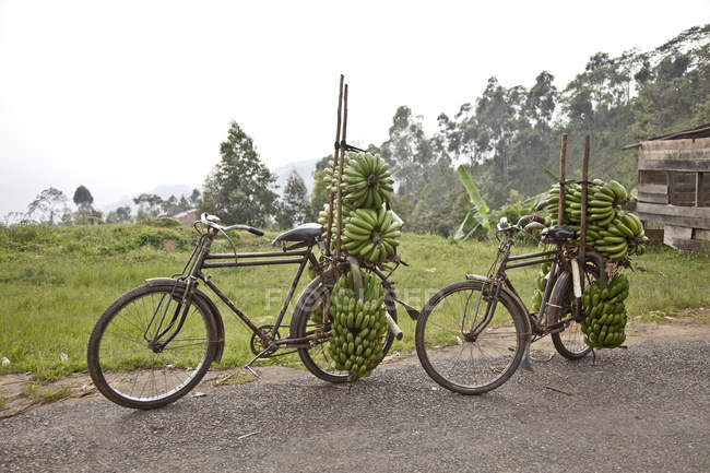 Two bicycles on roadside stacked with bunches of bananas, Masango, Cibitoke, Burundi, Africa — Stock Photo