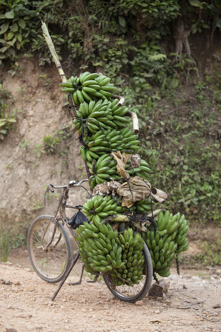 Vélo sur piste de terre empilée avec des grappes de bananes, Masango, Cibitoke, Burundi, Afrique — Photo de stock