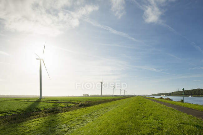 Раннім ранком вітрові турбіни, Ріланд, Зеландія, Нідерланди, Європа — стокове фото