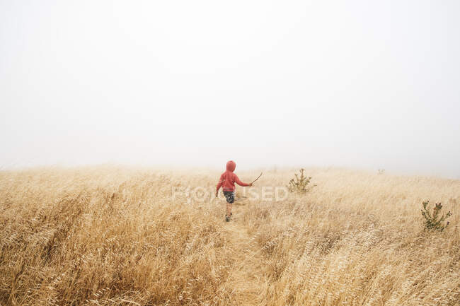 Boy in foggy field landscape, Fairfax, Califórnia, EUA, América do Norte — Fotografia de Stock