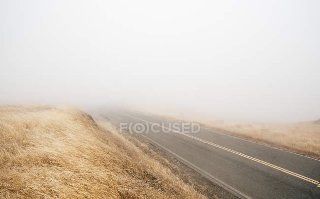 Empty niebla carretera, Fairfax, California, Estados Unidos, América del Norte - foto de stock