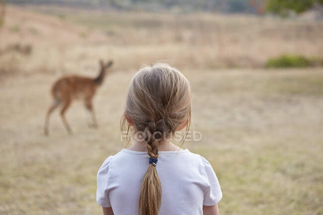 Girl in rural setting, watching mountain reedbuck antelope, rear view — Stock Photo