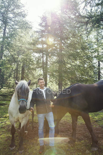 Hombre con caballos en el bosque, Tirol, Steiermark, Austria, Europa - foto de stock
