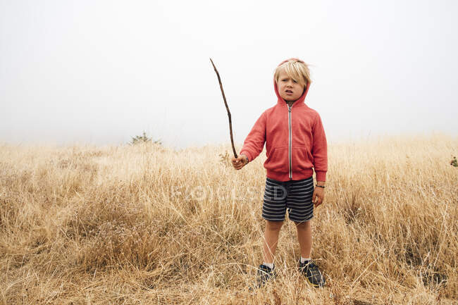 Junge im Feld hält Stock, Fairfax, Kalifornien, USA, Nordamerika — Stockfoto