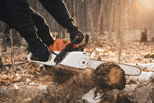 Uomo chainseging tronco d'albero nella foresta autunnale — Foto stock