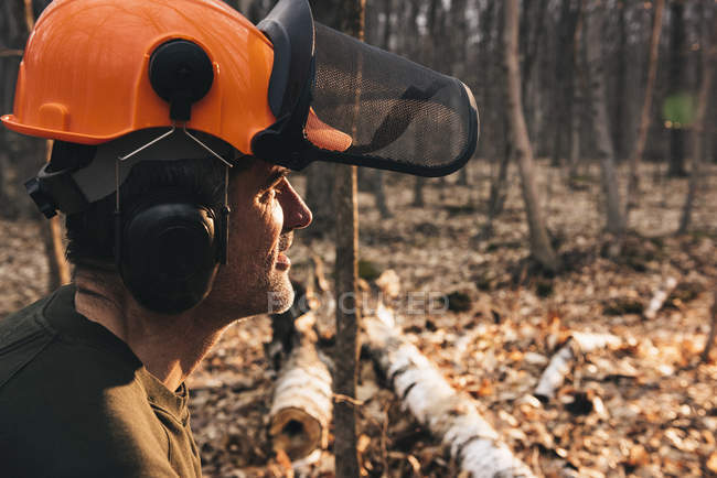 Portrait of male logger in orange hard hat in sunlit autumn forest — Stock Photo