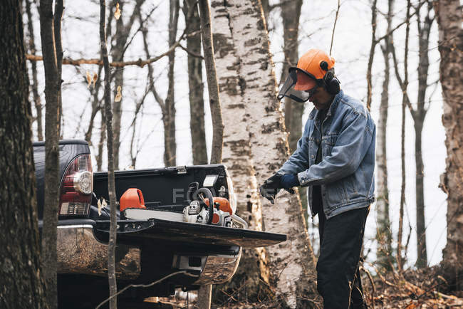 Madeireiro masculino colocando luvas de proteção na floresta de outono — Fotografia de Stock