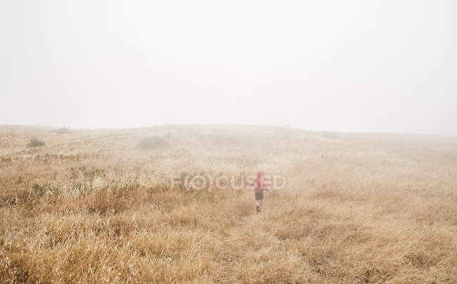 Junge in nebliger Feldlandschaft, Fairfax, Kalifornien, USA, Nordamerika — Stockfoto