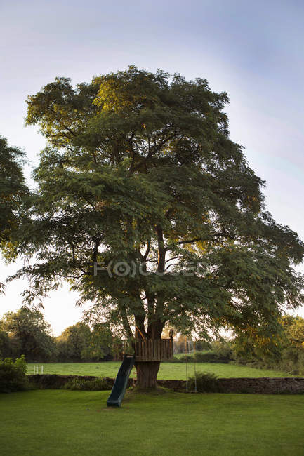 Дерев'яний будинок зі слайдом на дереві — стокове фото