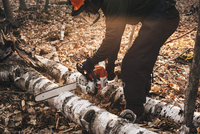 Зрілий чоловік бензопилою дерев'яний стовбур на осінньому лісі — стокове фото