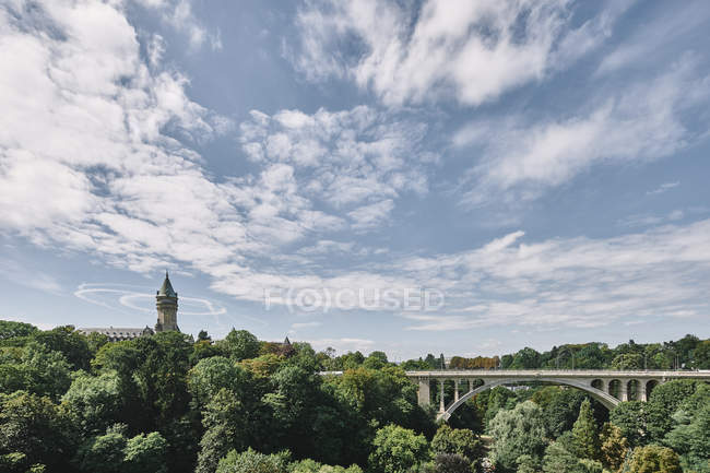 Puente entre copas de árboles, Luxemburgo, Europa - foto de stock