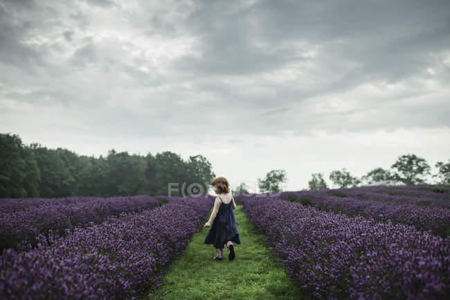 Маленькая девочка ходит между рядами лаванды — стоковое фото