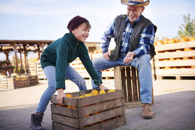 Фермер і онук на гарбузовій фермі — стокове фото