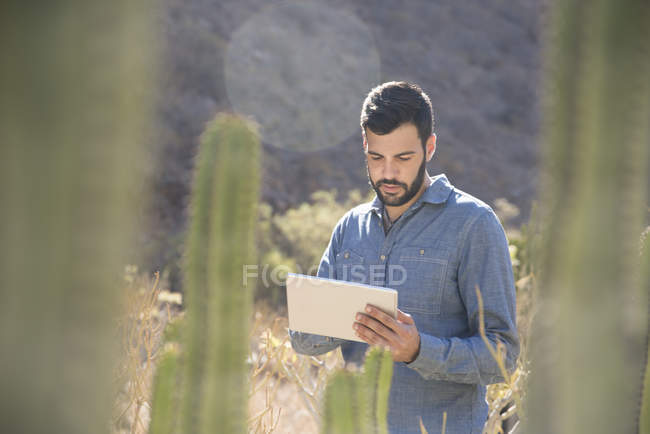 Young male hiker looking at digital tablet in sunlit valley, Las Palmas, Canary Islands, Spain — Stock Photo