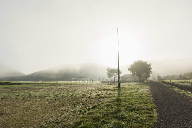 Nevoeiro sobre estrada de terra e campo em ambiente rural — Fotografia de Stock