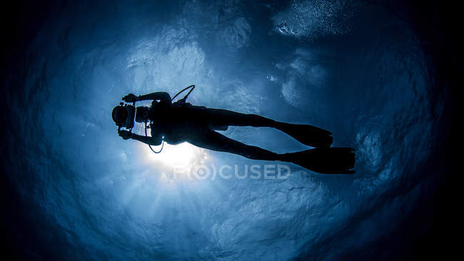 Дайвер с камерой, плавающий под солнечными лучами — стоковое фото