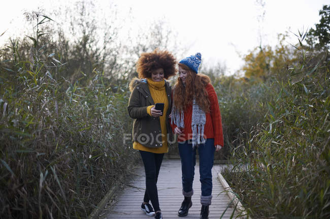 Amis sur la passerelle dans l'herbe haute en regardant smartphone — Photo de stock