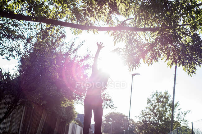 Мальчик прыгает вверх, чтобы добраться до ветки дерева под солнечным светом — стоковое фото