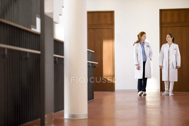 Dos doctores discutiendo mientras caminan por el edificio - foto de stock