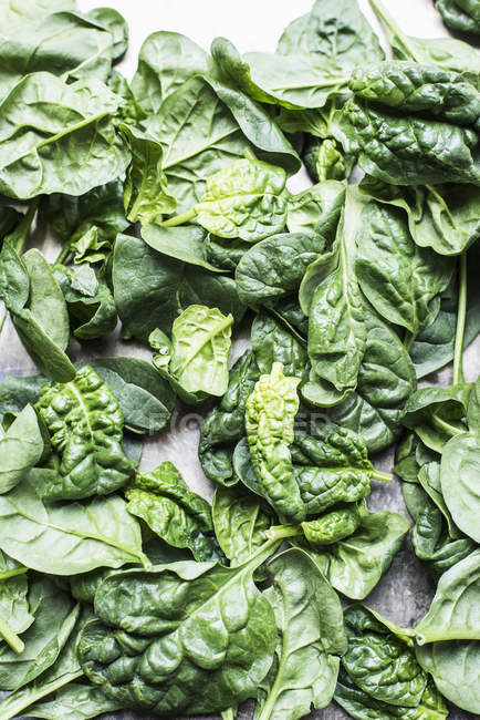 Top view of green spinach leaves on tabletop — Stock Photo