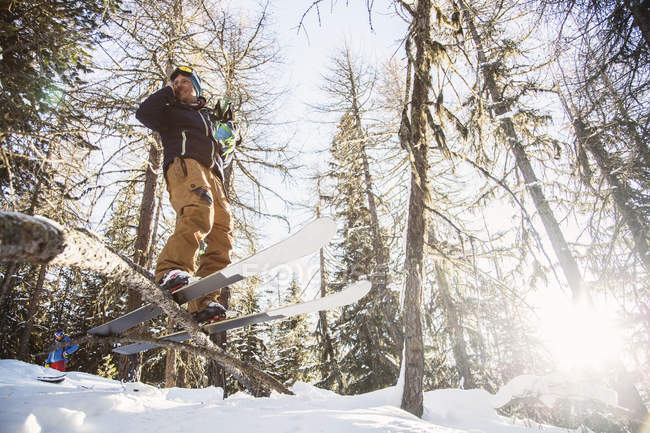 Vista ad angolo basso dello sciatore in equilibrio sugli sci sull'albero — Foto stock